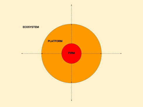 Platform Firm Ecosystem